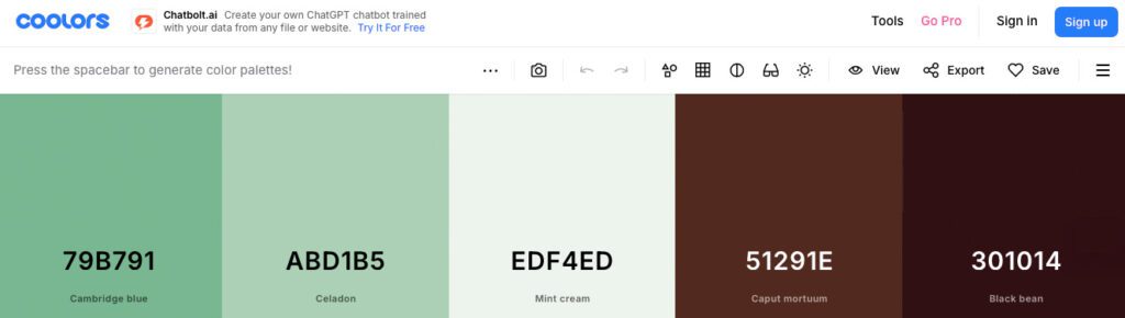 Website Gestaltung: Die perfekte Anleitung in acht Schritten 5 coolors